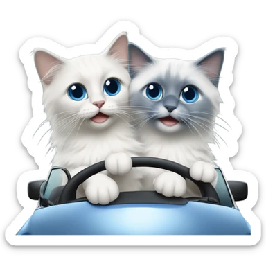 Two blue point ragdoll cats driving a car  sticker