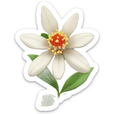 ashwagandha flower sticker