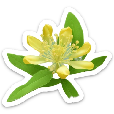 Ashwagandha flower with greenish-yellow petals and a central cluster of tiny yellow stamens sticker