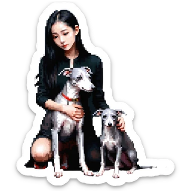 Slim Chinese girl with long black hair petting completely solid grey Italian greyhound with absolutely no white markings anywhere sticker
