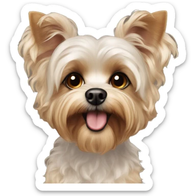yorkie bichon mix dog with light tan curly fur very very LONG ears dark brown eyes sticker