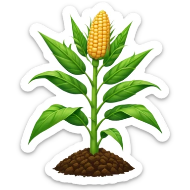 Cây bắp mọc trên đất sticker