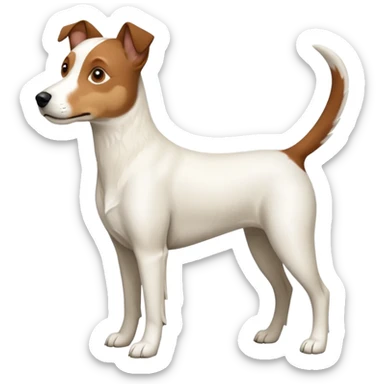 a full body large white parson russell looking dog the size of a kelpie with light brown ears and a light brown patch on one eye and a large snout sticker