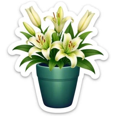 navy bouquet of Lily flower in green pot sticker