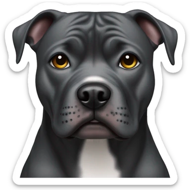 dark gray american staffie dog thug with concerned look on his face sticker