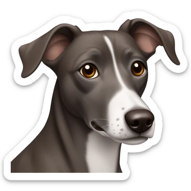 Dark Grey brown Formosa mountain dog and Italian greyhound mix, dark brown eyes, ears up sticker