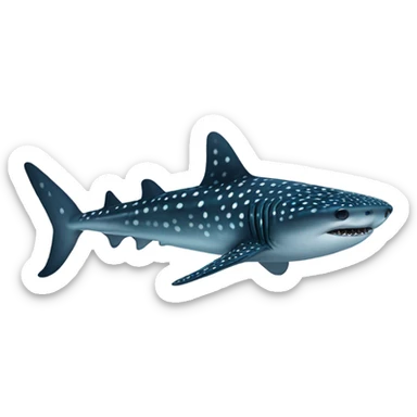 whale shark in water  sticker