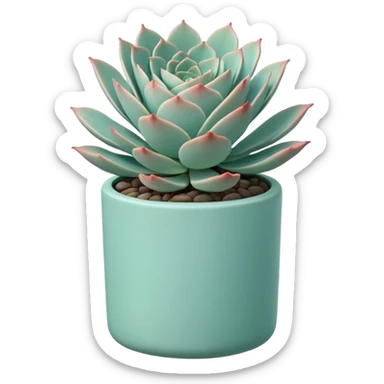 A ceramic pot in a pastel turquoise color, shaped like a cylinder, the pot is tall and contains an Echeveria 'Painted Nodulosa' plant. sticker