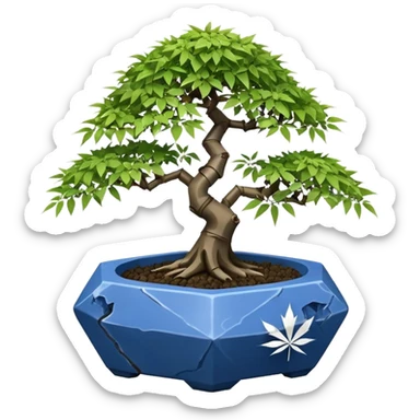 Japanese broken Icosahedron-shaped shallow dark bamboo blue maple tree bonsai pot sticker