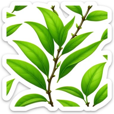 Fresh green tea buds with young tender leaves sticker
