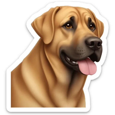 Dog mastiff with belgian sheppard light brown happy sticker