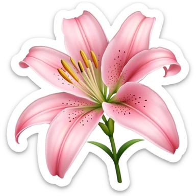 light pink lilium sticker