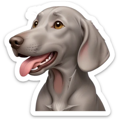 cinematic-cute-yawning-weimaraner-portrait-emoji,-head-tilted-slightly-with-a-dramatic,-wide-open-yawn,-revealing-a-sleek grey fur-with-a-subtle-shimmer,-floppy-ears-slightly-drooping,-round-brown-eyes-barely-open-in-drowsy sticker