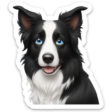 Border collie with one partially blue eye  sticker
