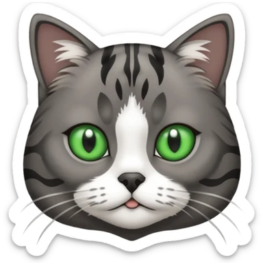 A dark gray tabby cat with green eyes with a black and white shitzu sticker