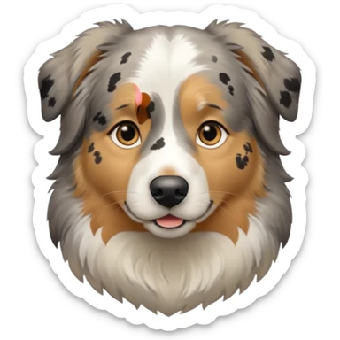 Australian Shepherd golden retriever tan eyebrows  black and speckled grey fur on chest.  sticker