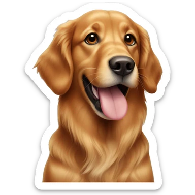 Red golden retriever with brown eyes and a black spot on the tip of her tongue  sticker