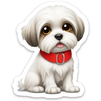 Maltese shih tzu dog wearing red collar sitting sticker