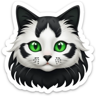 black and white long hair cat. green eyes. black nose. black splotch in the shape of a star near nose (on the right side). white chest. sticker