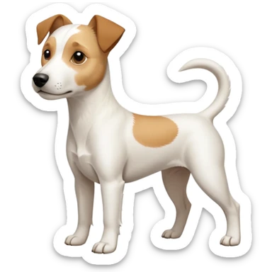 a full body facing front on of a buff white parson russell terrier looking dog the size of a kelpie with light brown long ears resting on its face and a light brown patch above one eye and a large snout. the rest of the dog is completely white.  sticker