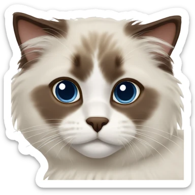 Ragdoll cat chocolate point face sticker