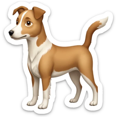 a full body large white parson russell looking dog the size of a kelpie with light brown flapped down ears and a light brown patch on one eye and a large snout sticker