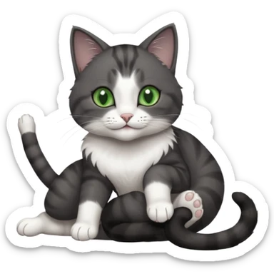 beautiful female solid dark grey cat with green eyes, white toes/paws and white patch on her chest rolling upside down sticker