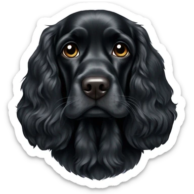 black english cocker spaniel sitting calmly sticker
