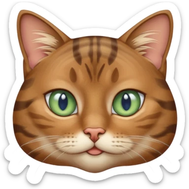 Female brown tabby cat with eyes that are sage green around the outside and blue on the inside and is a little more chunky than most cats she’s very sassy  sticker