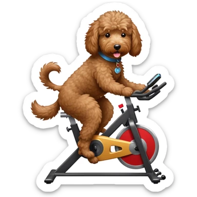 brown goldendoodle riding a spin bike sticker