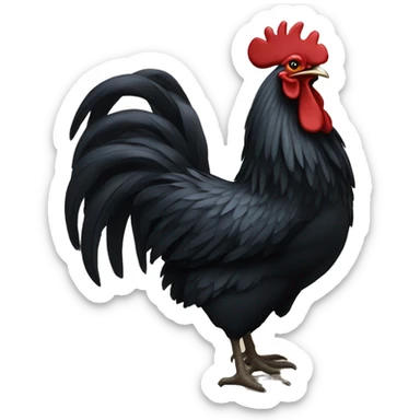 Massive black rooster sticker