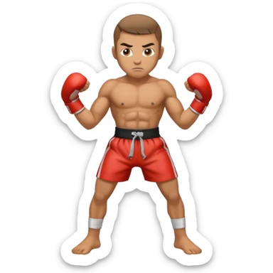 Coup de pied kick boxer sticker