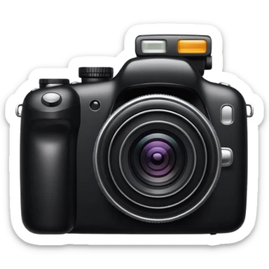 CAMERA TAKEN PIC  sticker