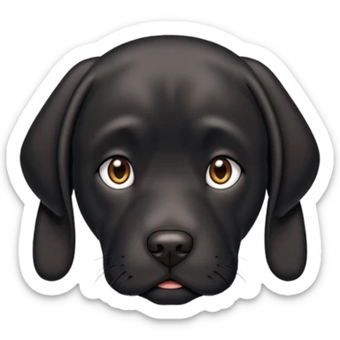 Black lab with a sad face sticker