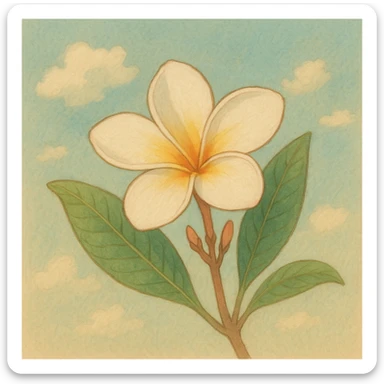 plumeria flower, soft colors, gentle shading sticker