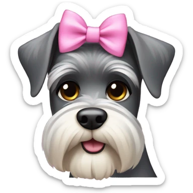 Schnauzer wearing a pink bow sticker