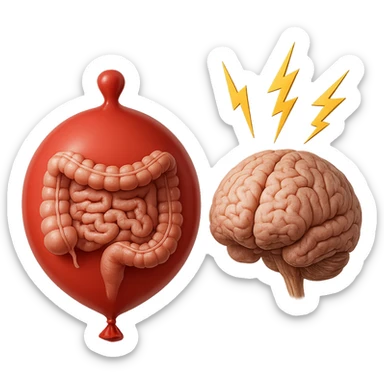 intestino umano anatomico chiuso in un palloncino rosso che simboleggia gonfiore, accanto un cervello anatomico con fulmini vicino che simboleggiano "stress", iperrealistico 4k sticker