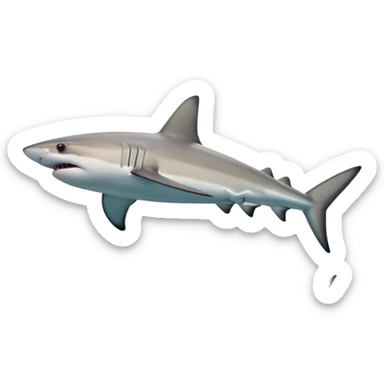 caribbean reef shark juggling  sticker