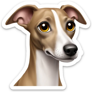 Italian greyhound  sticker