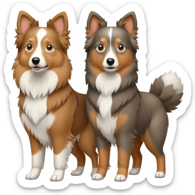 Shetland sheepdog and Australian shepherd sticker