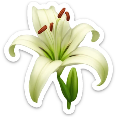 Lilium flower sticker