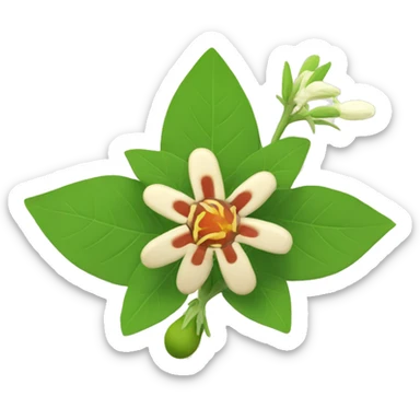 ashwagandha with flower sticker