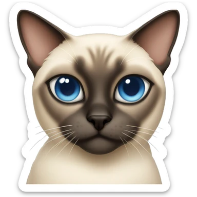 Siamese cat with crossed eyes sticker