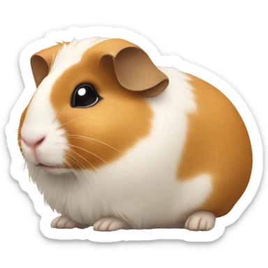 Guineapig laying down  sticker