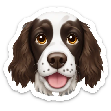 tri color springer spaniel face sticker