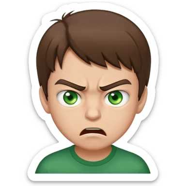 Boy 10 years old, with overgrown brown hair with green eyes, angry, shows fuck sticker