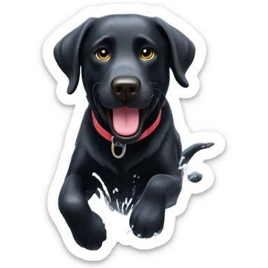 Black lab playing in a dam sticker