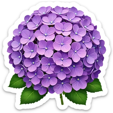 Purple Hydrangea sticker