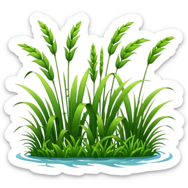 asia handholded fen without a person and without a hand, only the fen sticker