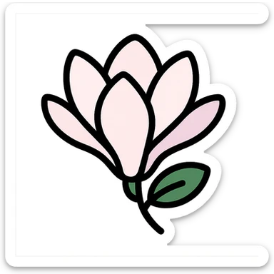 close-up of blooming magnolia flower with soft overlapping petals in shades of white pink and a hint of purple against a blurred natural background sticker